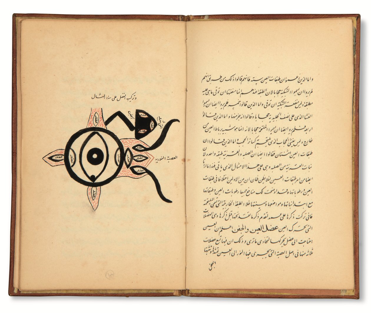  بواسطة المدرسة الإيرانية