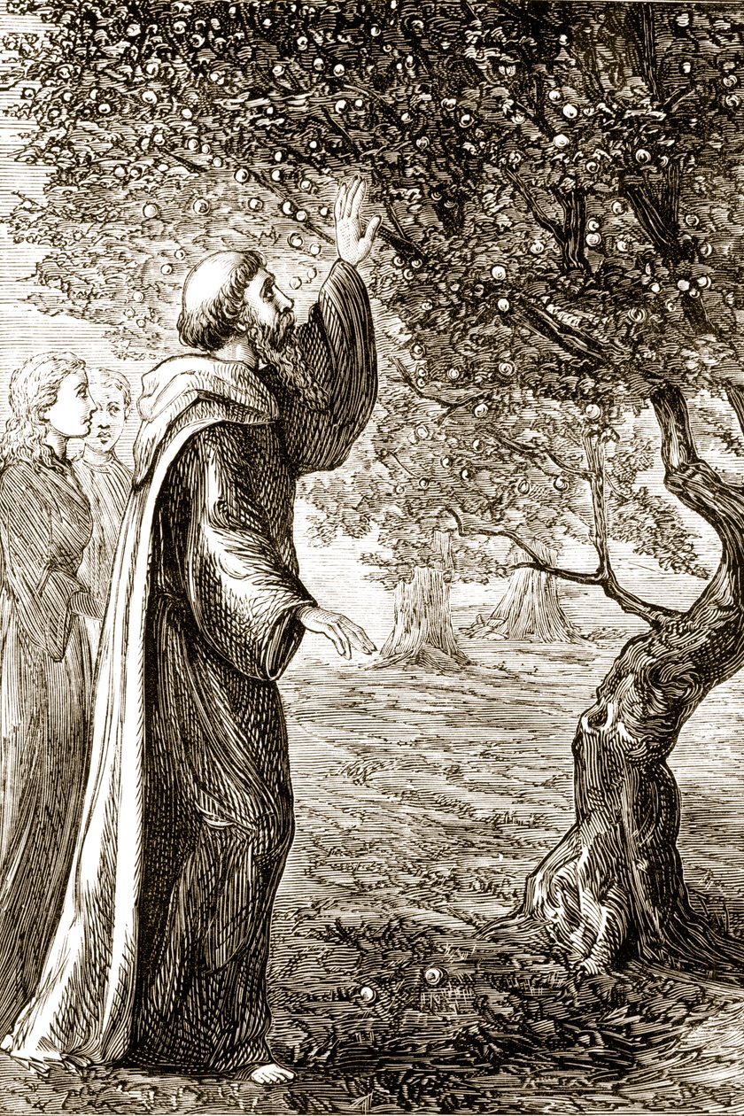 يقوم القديس كولومبا بتغيير الفاكهة المريرة إلى حلوى ، من The Trias Thaumaturga ، أو ثلاثة قديسين عجائب في أيرلندا ، بقلم ماري كوساك (1829-1899) المنشورة في 1890s بواسطة المدرسة الايرلندية