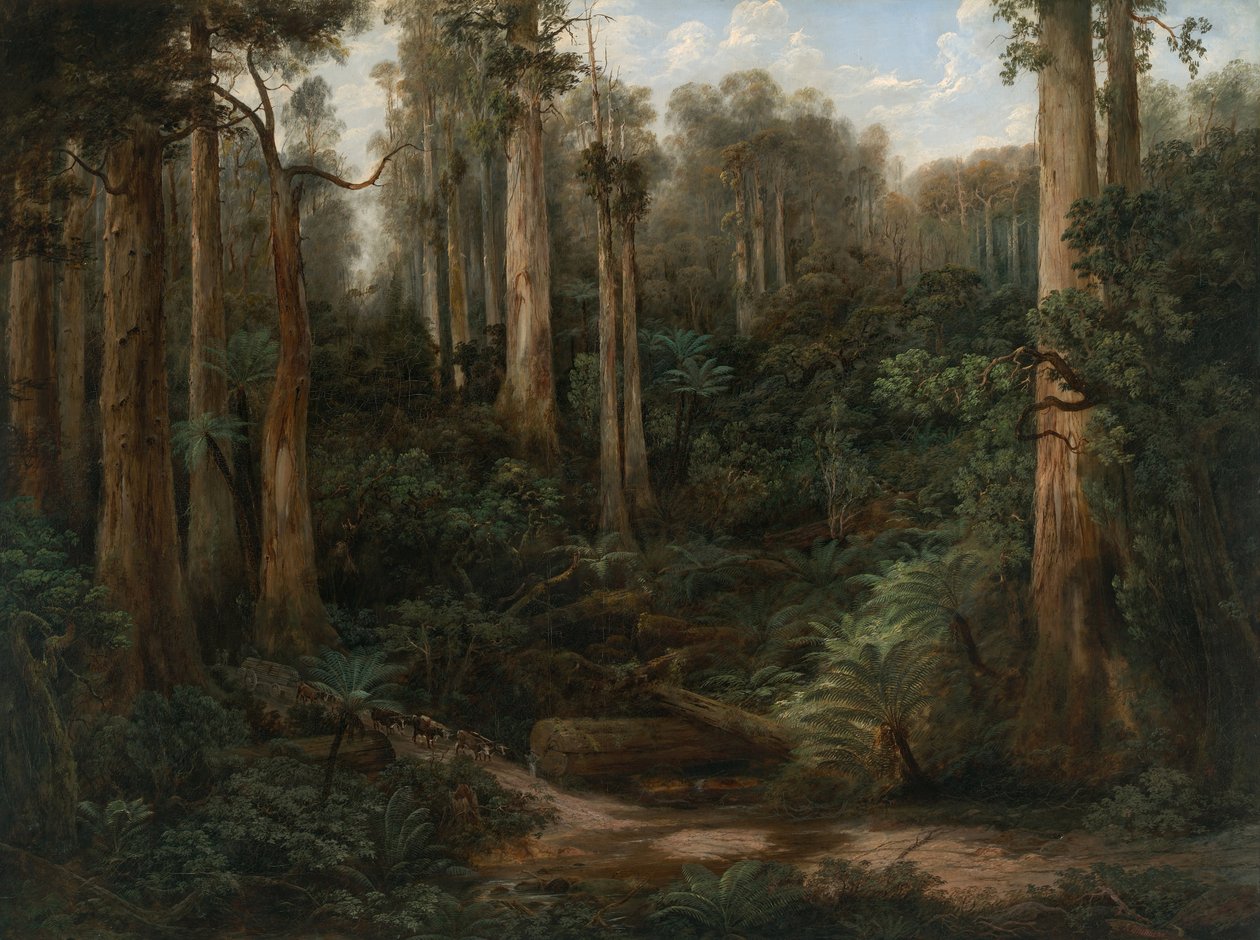A Sassafras Gully ، Gippsland بواسطة إسحاق وايتهيد