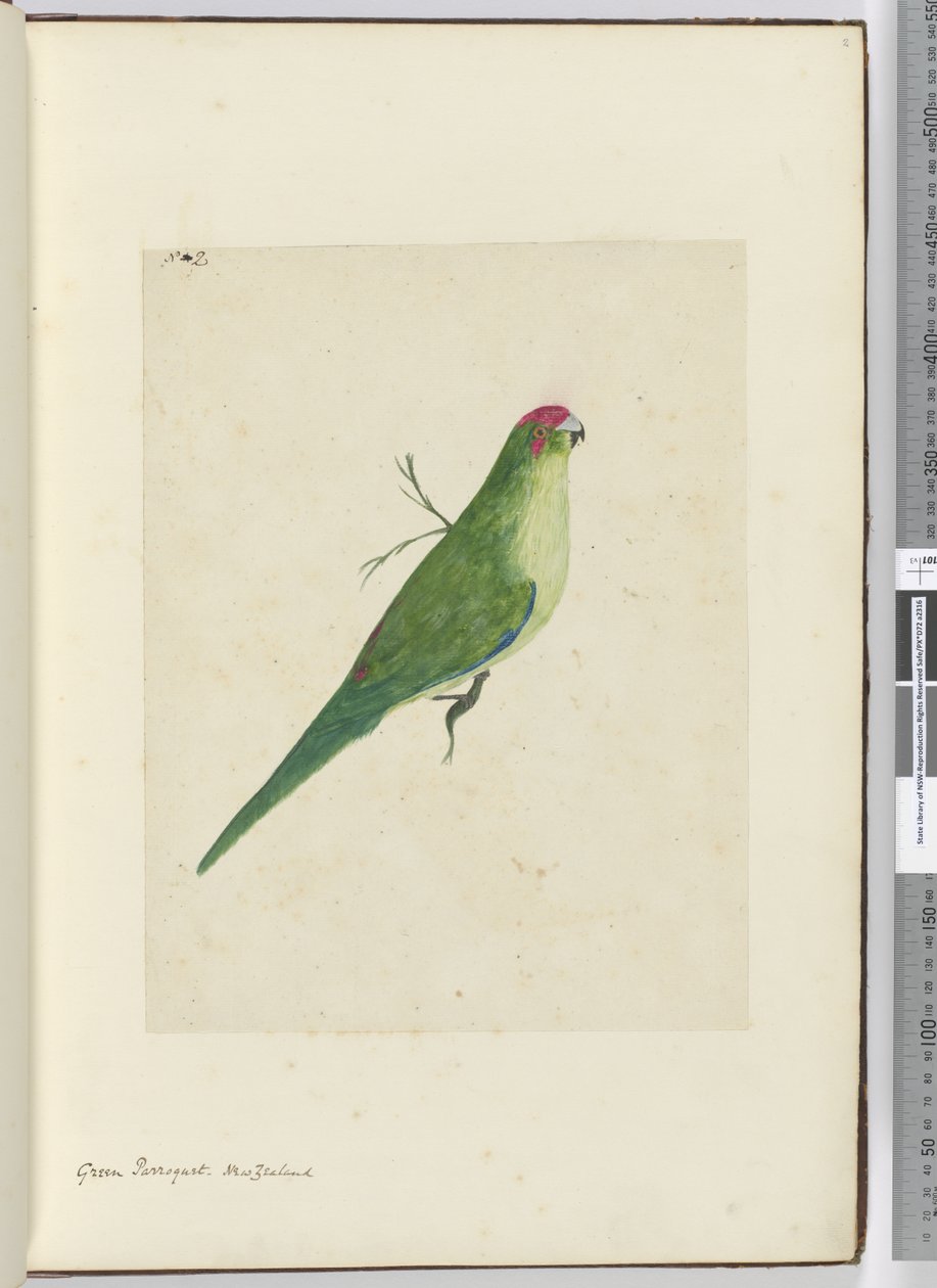 F.2 الباركيه الأخضر. نيوزيلندا ، 1772-75 (مرحاض) بواسطة إسحاق سميث