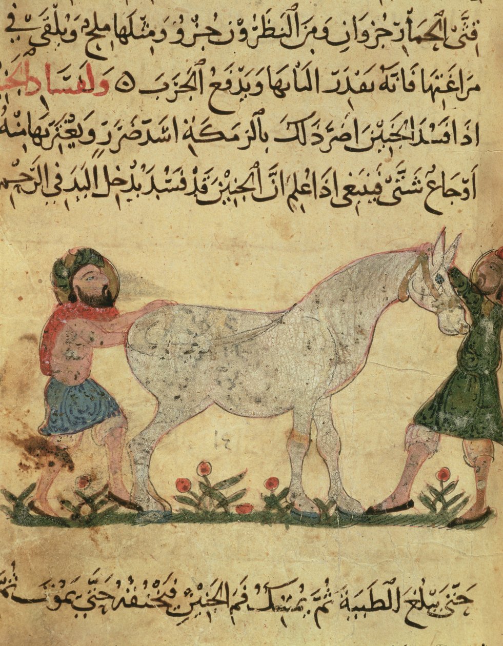طبيب بيطري يساعد الفرس على الولادة ، رسم توضيحي من "كتاب الفريري" لأحمد بن الحسين بن الأحنف ، 1210 بواسطة مدرسة إسلامية