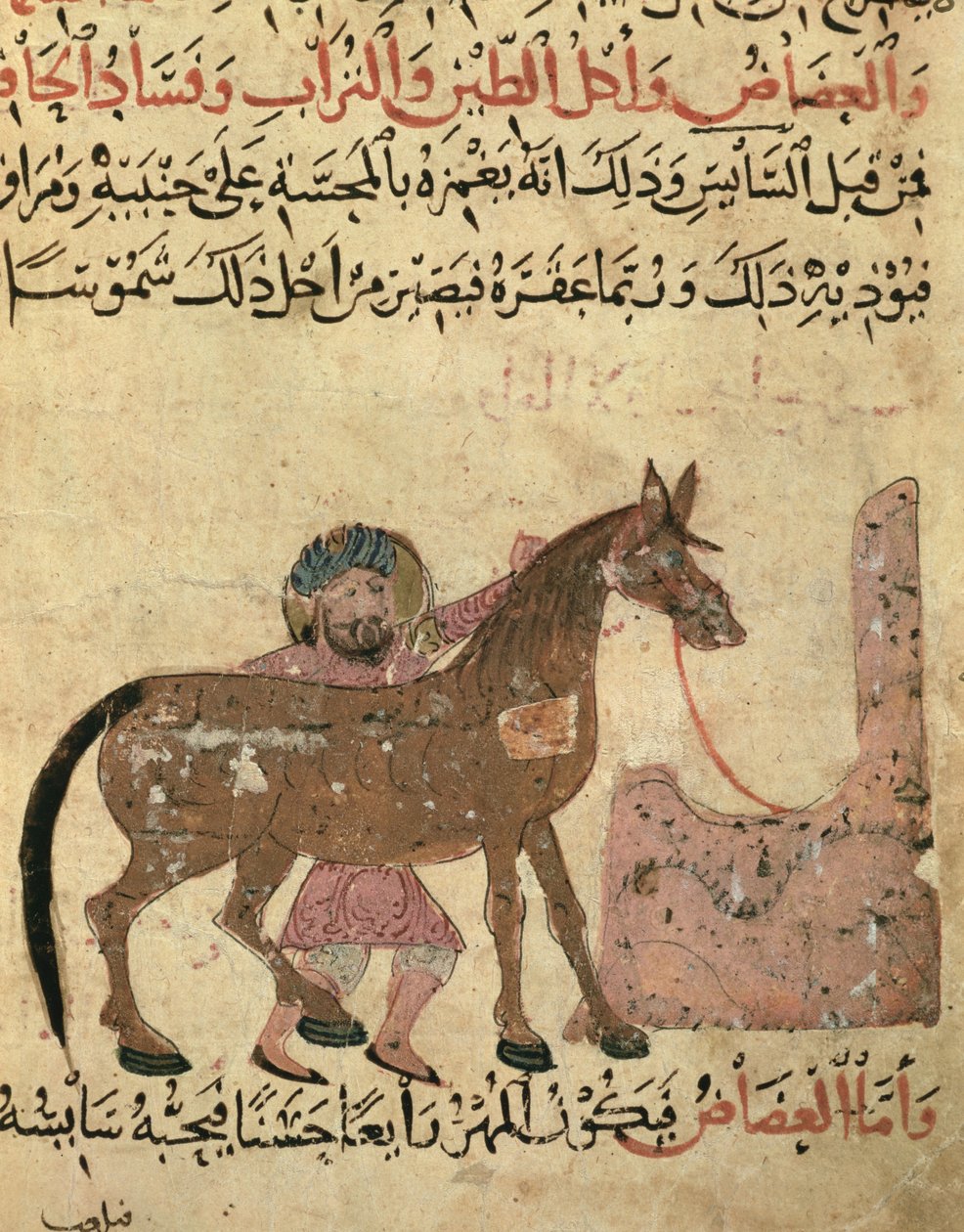 رعاية الحصان ، رسم توضيحي من كتاب الفريري لأحمد بن الحسين بن الأحنف ، 1210 بواسطة مدرسة إسلامية