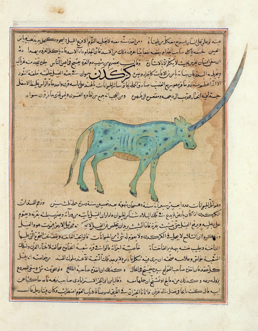 السيدة E-7 fol.191b وحيد القرن ، رسم توضيحي من "عجائب الخلق وفضول الوجود" بقلم زكريا بن محمد القزويني بواسطة مدرسة إسلامية