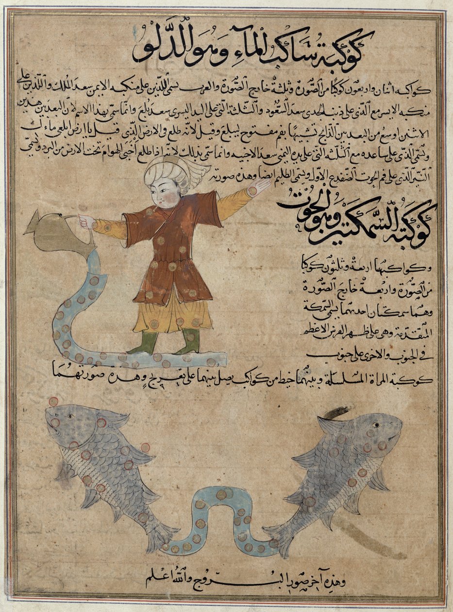 السيدة E-7 fol.25a الدلو والحوت ، من "عجائب الخليقة وفضول الوجود" بقلم زكريا بن محمد القزويني بواسطة مدرسة إسلامية