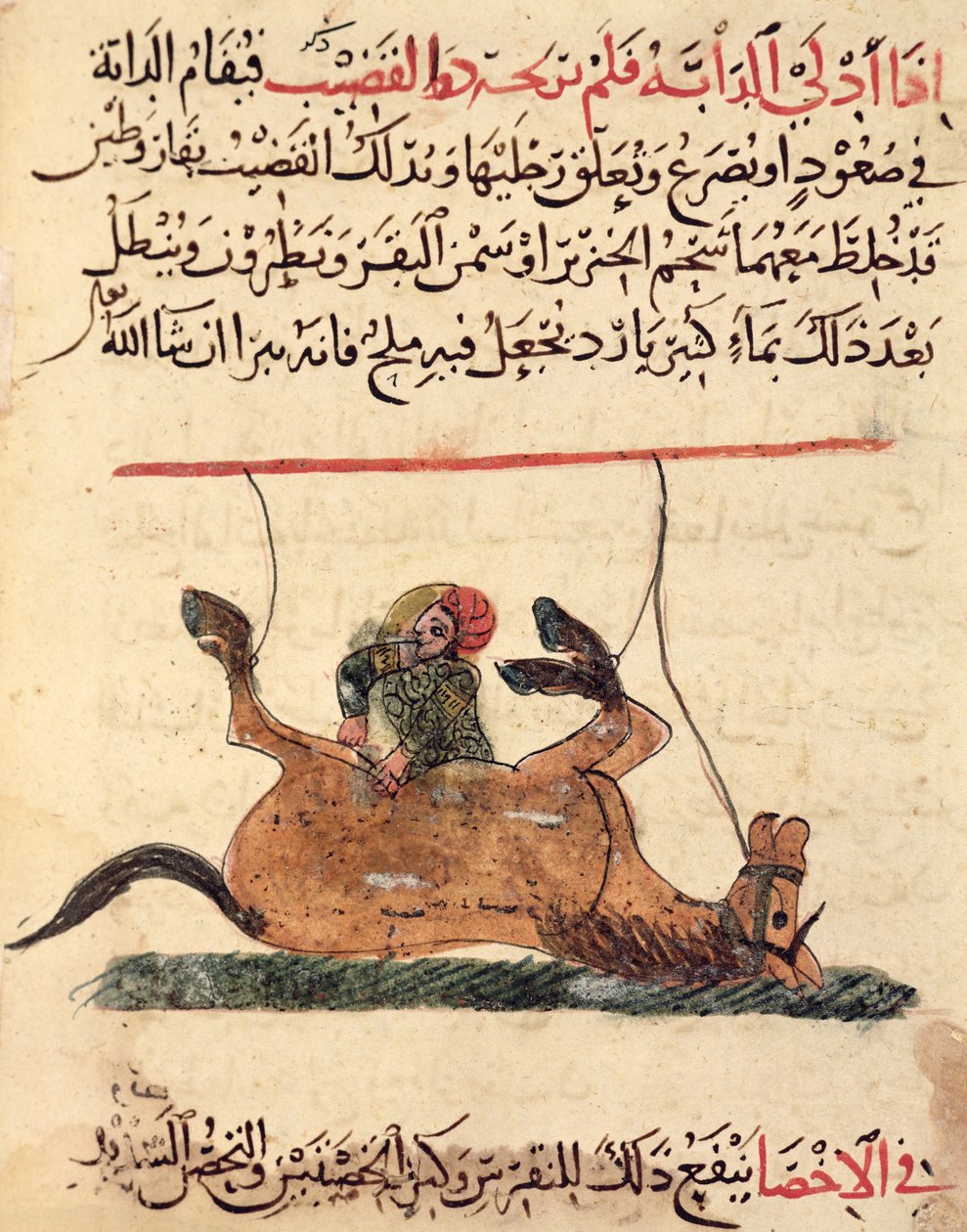 عملية على حصان ، رسم توضيحي من "كتاب الفُريرية" لأحمد بن الحسين بن الأحنف ، 1210 بواسطة مدرسة إسلامية