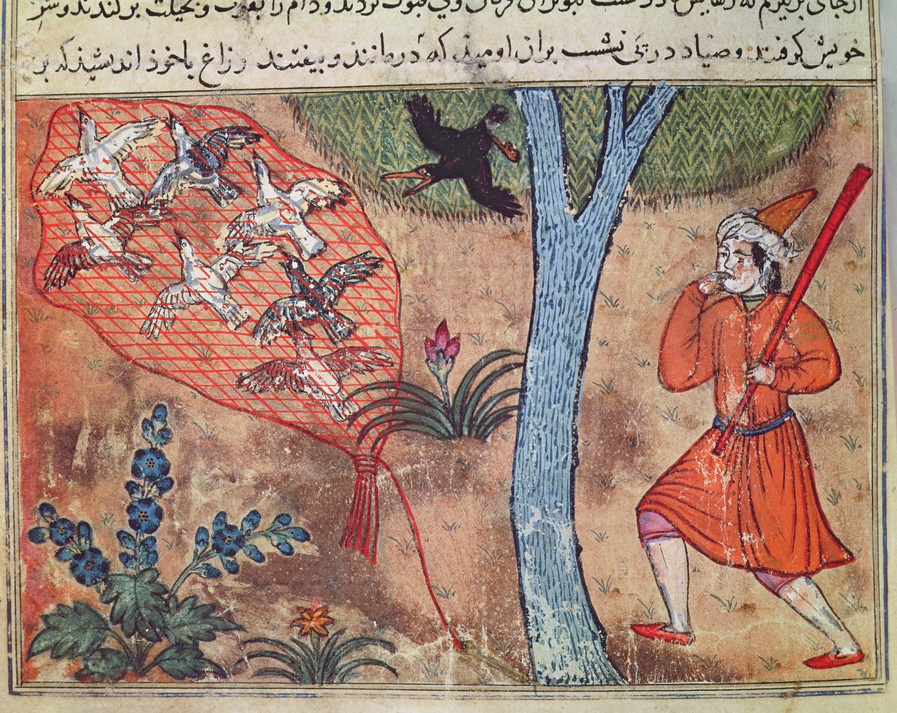 طيور الصيد ، من كتاب كليلة ودمنة ، من "خرافات بدباي" بواسطة مدرسة إسلامية