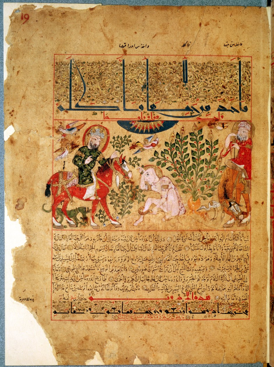 أرابي 2964 صفحة 19 ، الطبيب Anoromachus يشفي شقيقه من لدغة ثعبان ، من أطروحة العلاج بعد Galien ، 1217 بواسطة مدرسة إسلامية