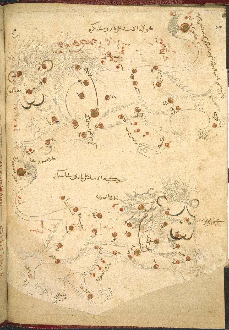 Or 5323 f.45v أسدان ، رسم توضيحي من "وصف للنجوم الثابتة" لعبد الرحمن الصوفي (حبر ولون على ورق) بواسطة مدرسة إسلامية
