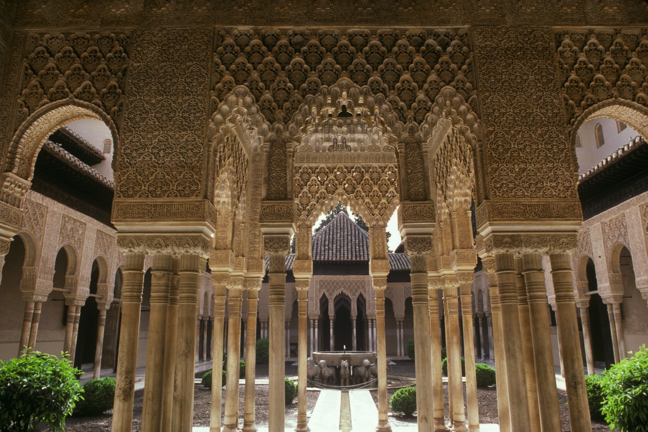 محكمة الأسود بواسطة مدرسة إسلامية