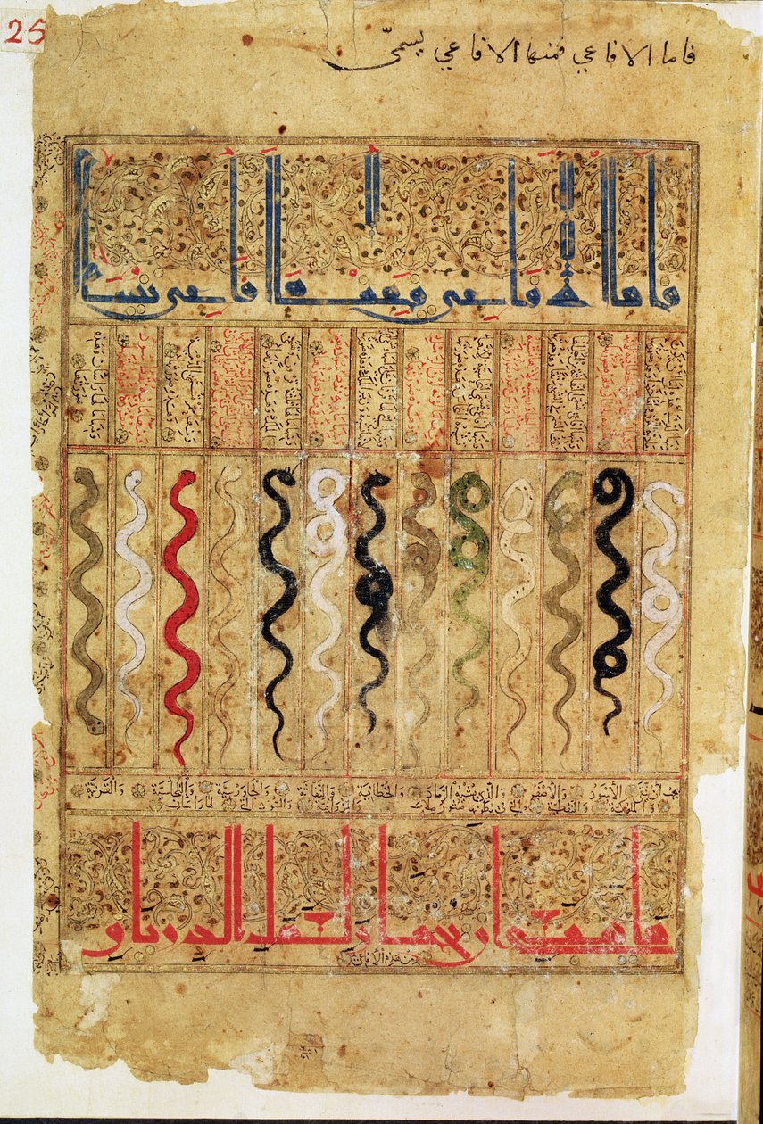 أطروحة العلاج بعد غاليان ، 1217 بواسطة مدرسة إسلامية