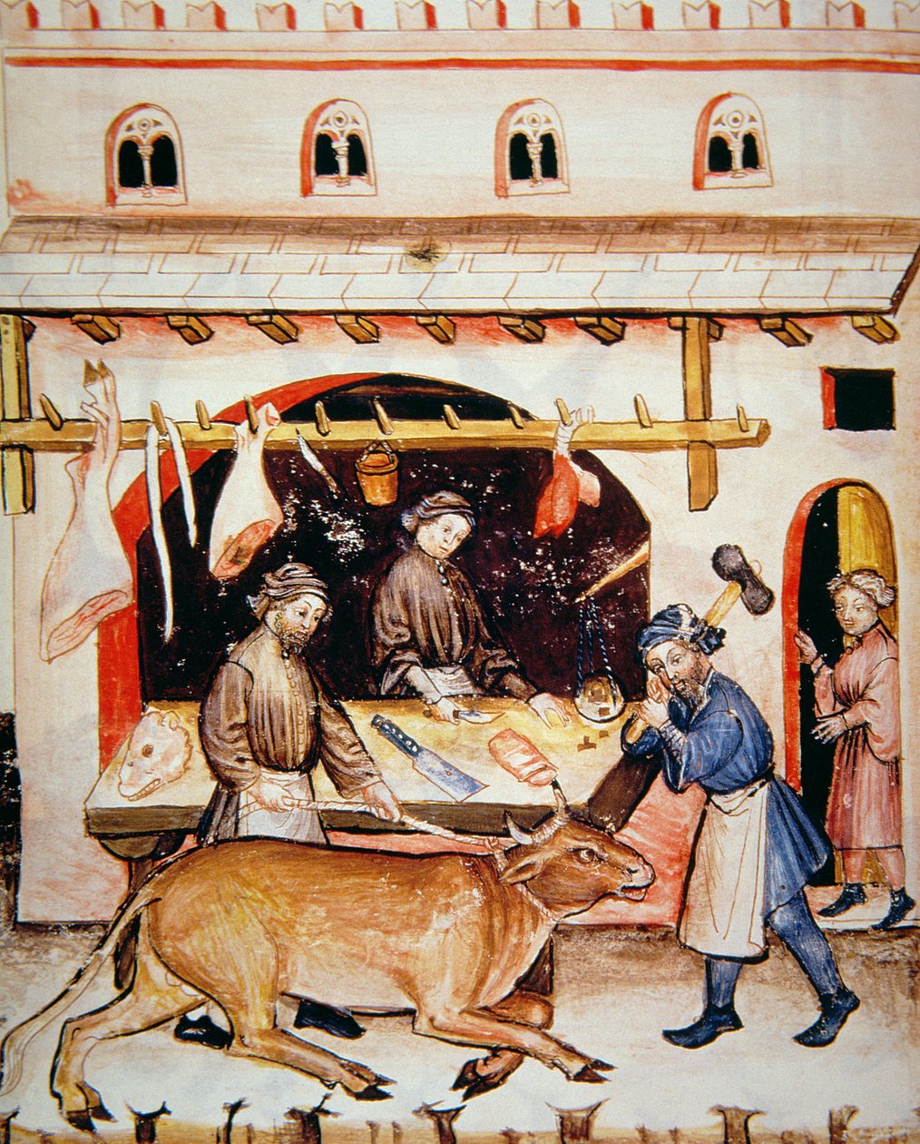 Fol.73v الجزارين: لحم العجل ، التوضيح من Tacuinum Santiatis Codex Vindobonensis بواسطة المدرسة الايطالية