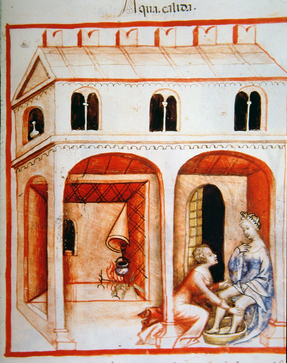 Fol.89r الماء الساخن ، رسم توضيحي من Tacuinum Santiatis Codex Vindobonensis بواسطة المدرسة الايطالية