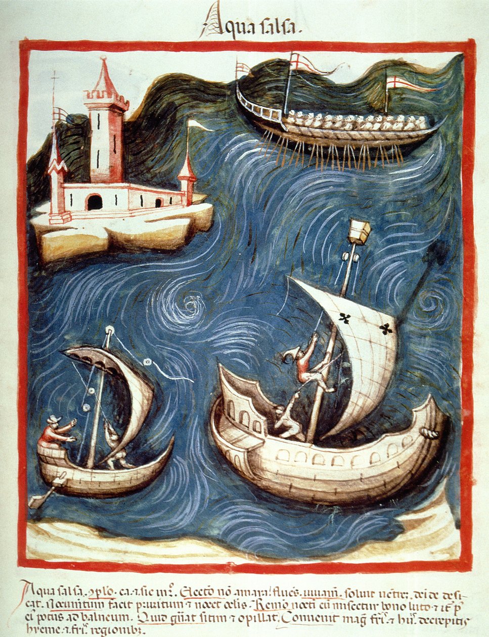 نوفا 2644 f.88r القوارب على البحر ، التوضيح من Tacuinum Santiatis Codex Vindobonensis بواسطة المدرسة الايطالية