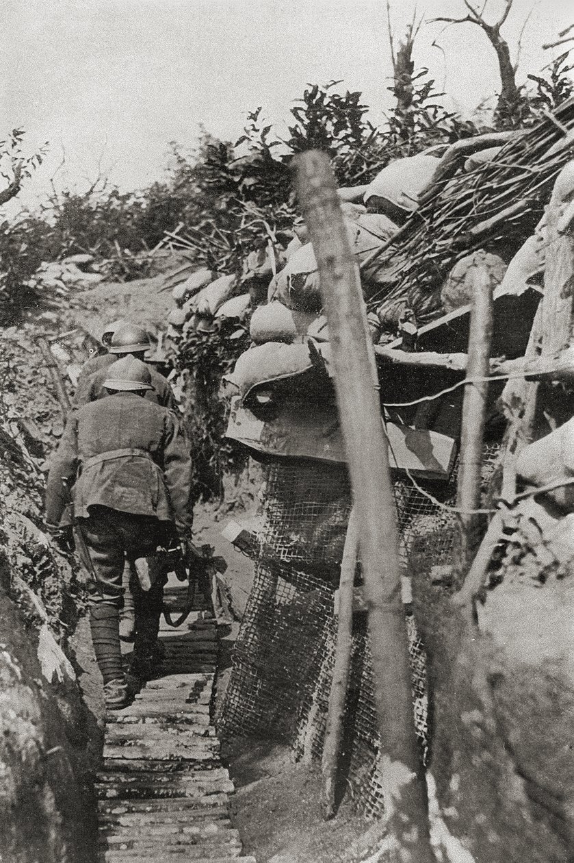 The passage through the trenches in Mount Podgora, Italy بواسطة مصور إيطالي