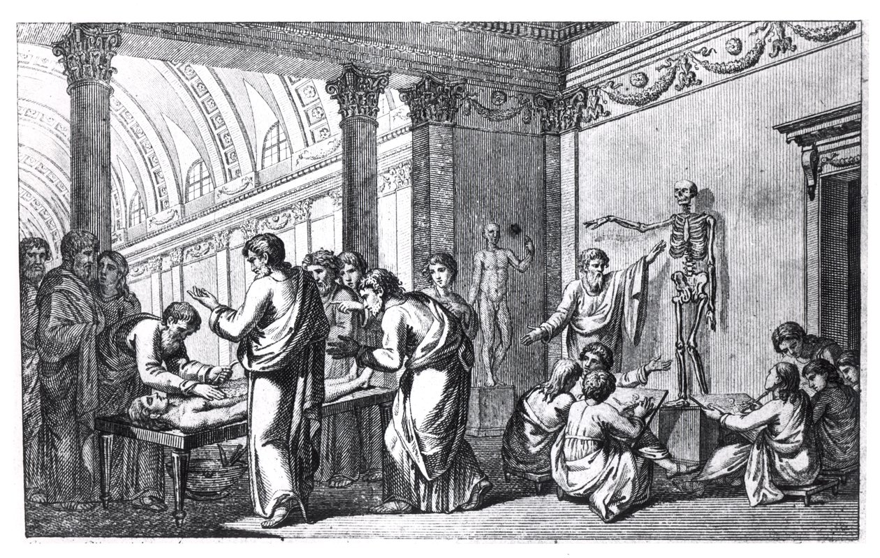 مدرسة التشريح في العصور القديمة ، من Tabulae Anatomicae بقلم بيترو بريتيني دا كورتونا (1596-1669) نشرت في روما ، 1778 بواسطة المدرسة الايطالية