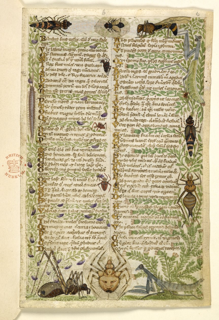 أضف MS 28841 f.006r أوراق من أطروحة نثرية عن الرذائل السبعة وبيت عن أحداث من تاريخ صقلية في زمن فريدريك الثاني ، بقلم كوتشاريلي ، حوالي 1330-40 بواسطة المدرسة الايطالية