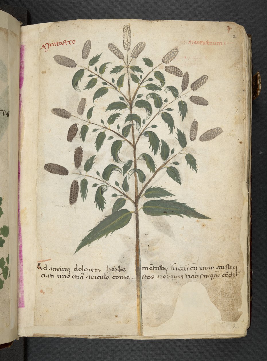 أضف MS 41623 