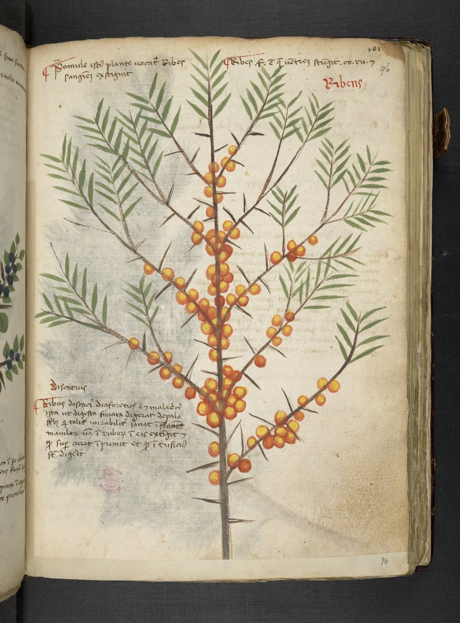 أضف MS 41623 