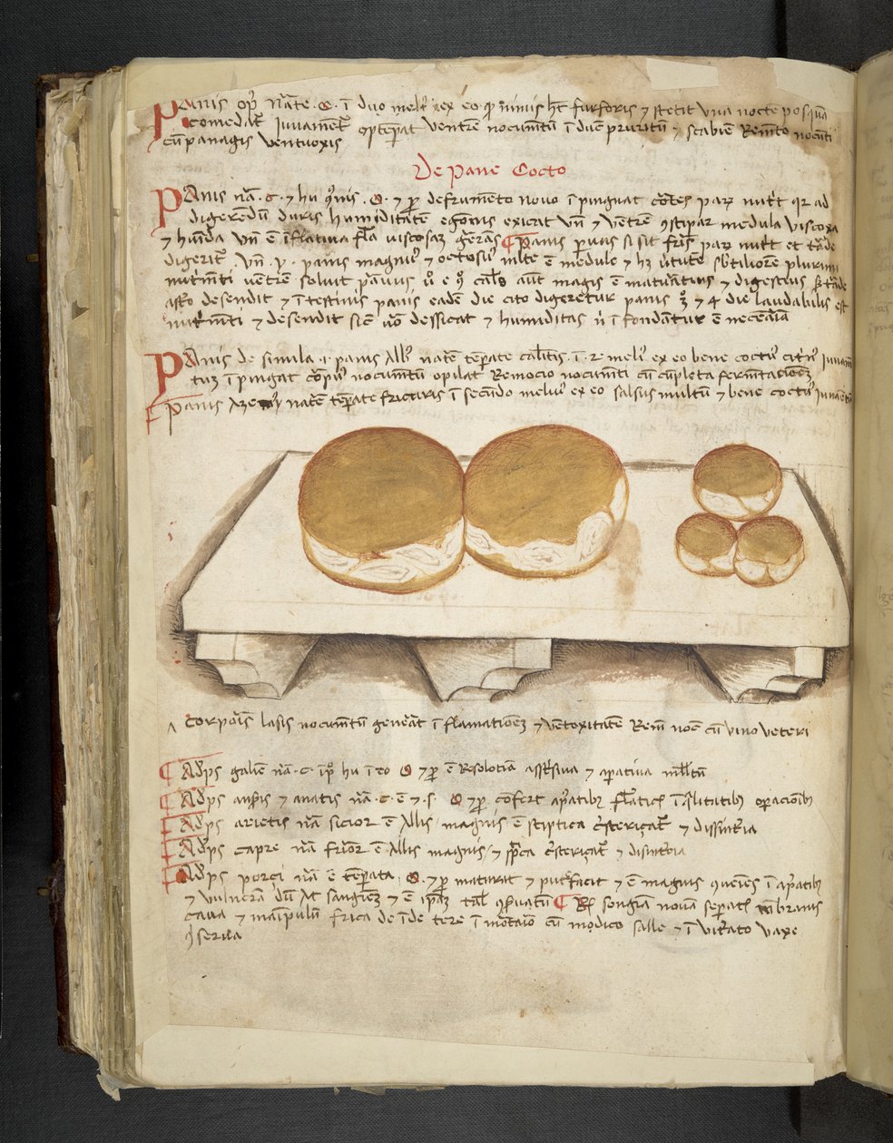 أضف MS 41623 f.124v De Pane ، من "A herbal" ، Belluno (الحبر واللون على الرق) بواسطة المدرسة الايطالية