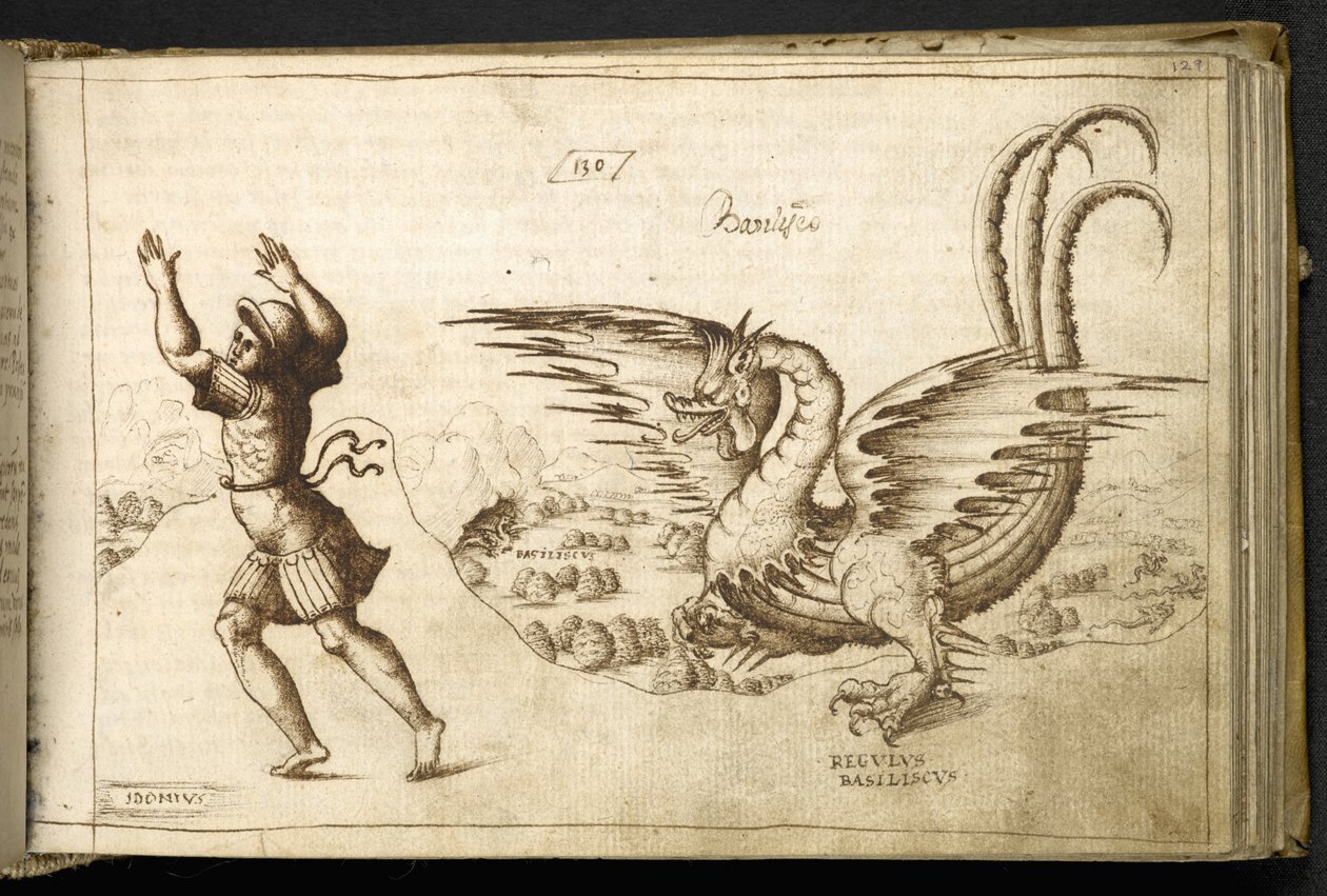 أضف MS 82955 f.129r Dragon من 