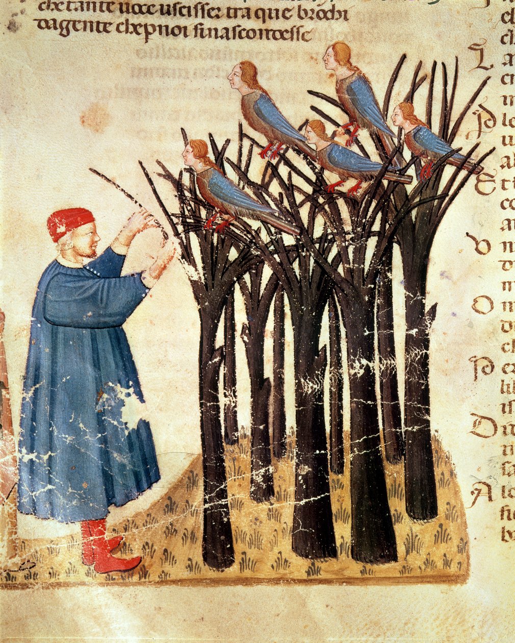 تحولت دانتي والأرواح إلى طيور ، من الكوميديا الإلهية لدانتي أليغييري (1265-1321) بواسطة المدرسة الايطالية