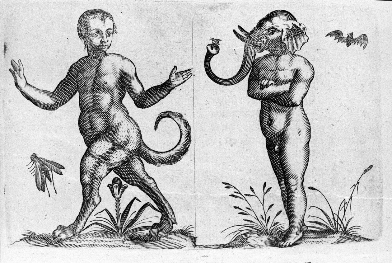 أنواع مختلفة من الوحوش البشرية: رجل بأرجل حيوان وآخر برأس فيل. نقش من "De monstrorum natura، reasonis et differentiis" لعالم إيطالي Fortunio Liceti (1577-1656). 1646 بواسطة المدرسة الايطالية