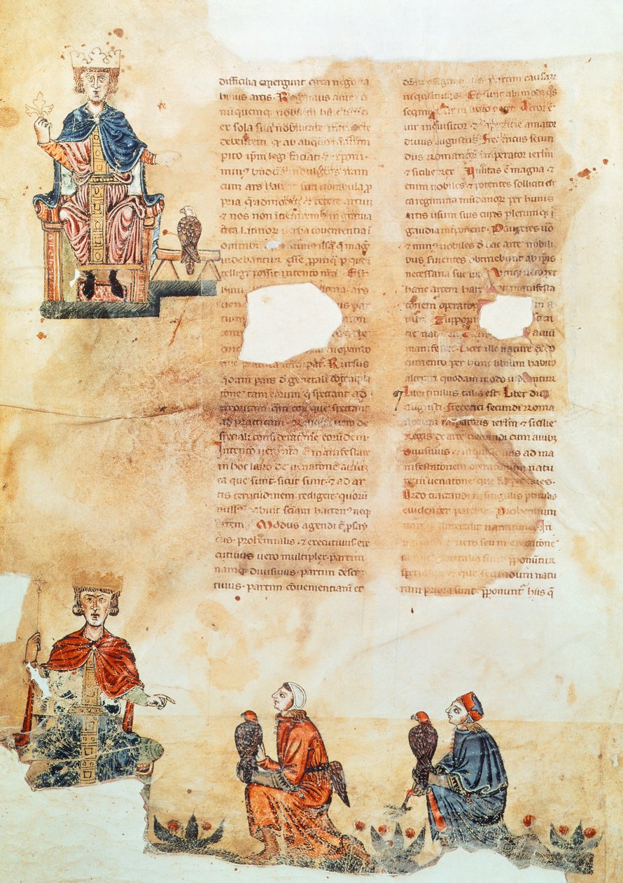 Emperor Frederick II of Hohenstaufend, illustration from 