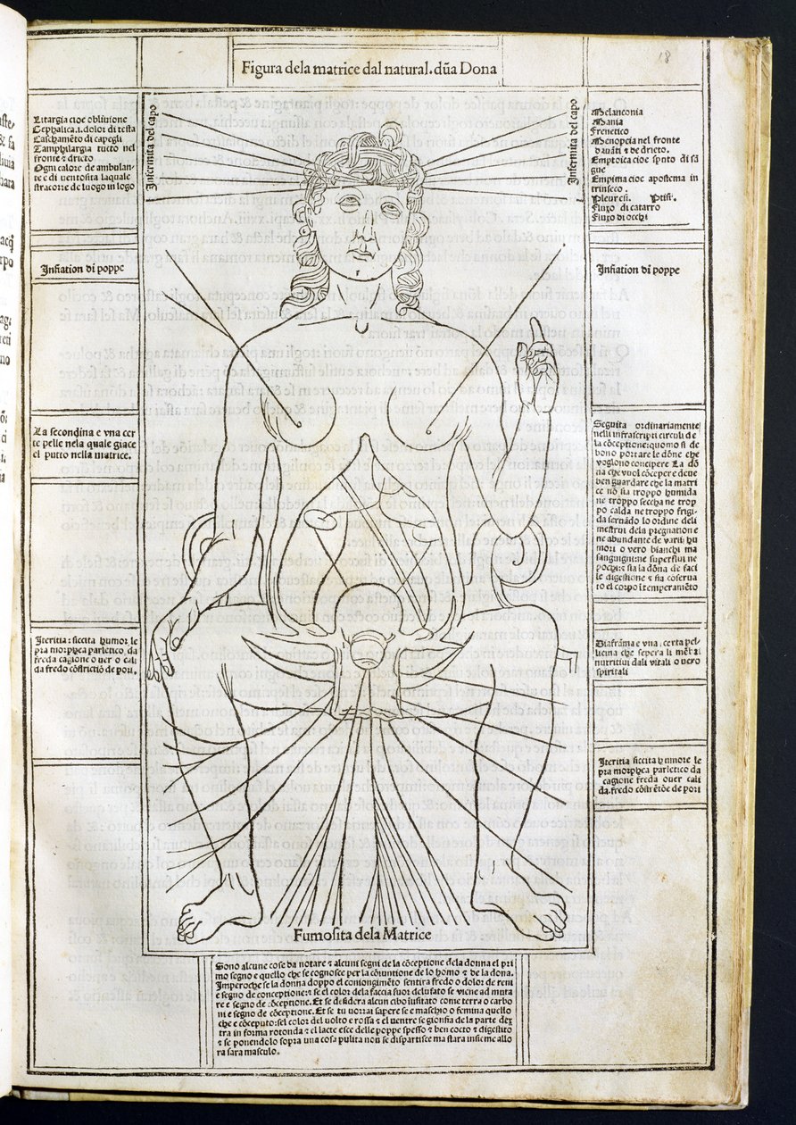 تشريح الأنثى من Fasciculus Medicinae بقلم جوهانس دي كيثام (dc1490) c.1507 بواسطة المدرسة الايطالية