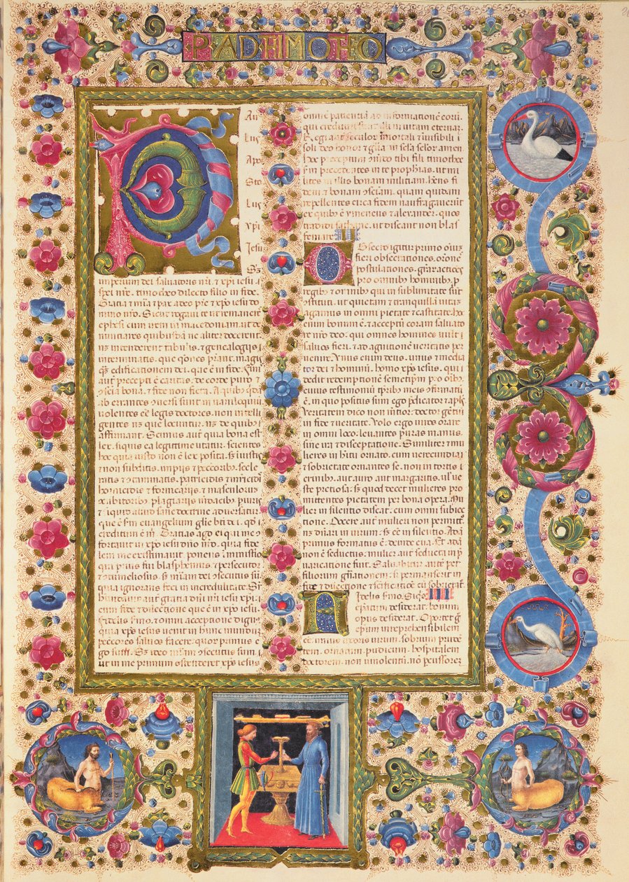 Fol.208r رسالة من القديس بولس إلى تيموثاوس ، من الكتاب المقدس بورسو ديست. المجلد 2 (ورق) بواسطة المدرسة الايطالية