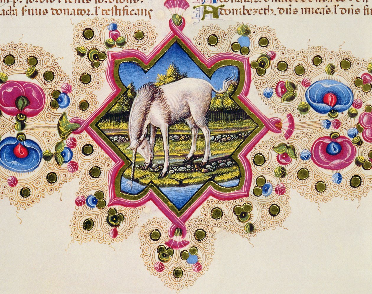 Fol.245V A Unicorn ، من Borso d