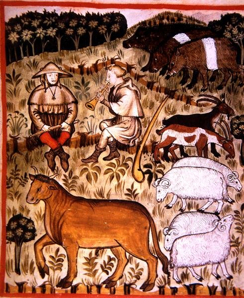 صفحة 71 و الحيوانات المخصية ، رسم توضيحي من "Tacuinum Santiatis Codex Vindobonensis" (رق) بواسطة المدرسة الايطالية