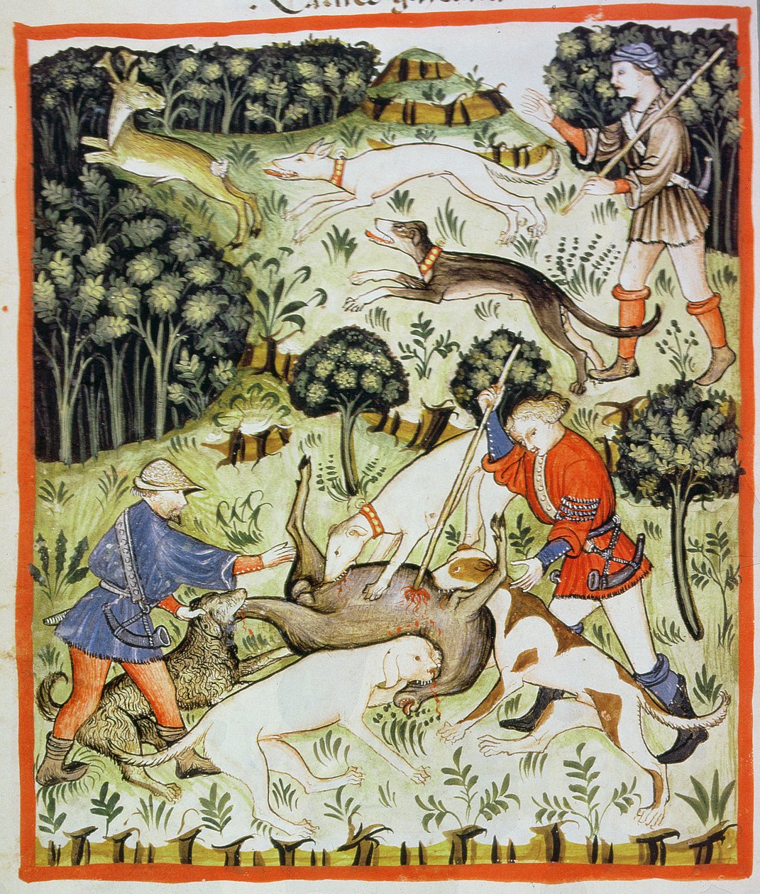Fol.71v غزال الصيد ، صورة توضيحية من Tacuinum Santiatis Codex Vindobonensis بواسطة المدرسة الايطالية