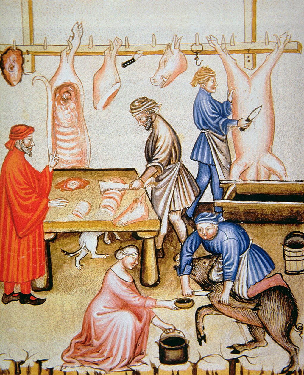 Fol.74v الجزارين: لحم الخنزير ، رسم توضيحي من Tacuinum Santiatis Codex Vindobonensis بواسطة المدرسة الايطالية