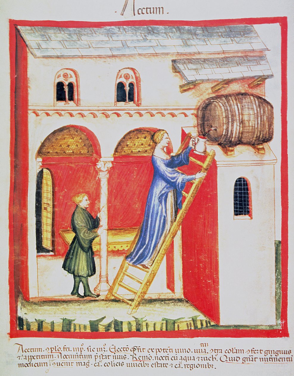 الورقة ٨٥ ظ في الخل ، رسم توضيحي من Tacuinum Santiatis Codex Vindobonensis بواسطة المدرسة الايطالية