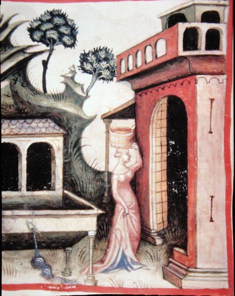 Fol.88v مياه الينابيع ، رسم توضيحي من "Tacuinum Santiatis Codex Vindobonensis" (رق) بواسطة المدرسة الايطالية