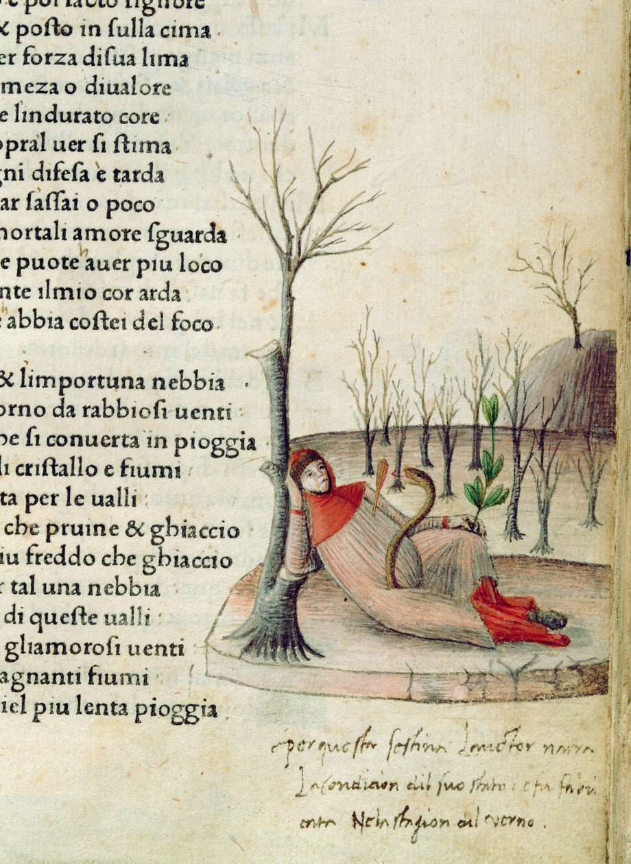 Fol. 52 و من "Canzoniere e Trionfi" بقلم بترارك ، حوالي 1470 بواسطة المدرسة الايطالية