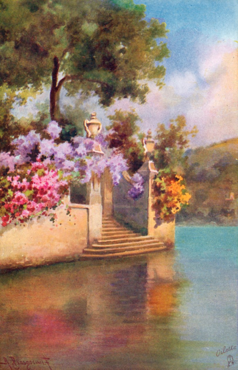  بواسطة المدرسة الايطالية