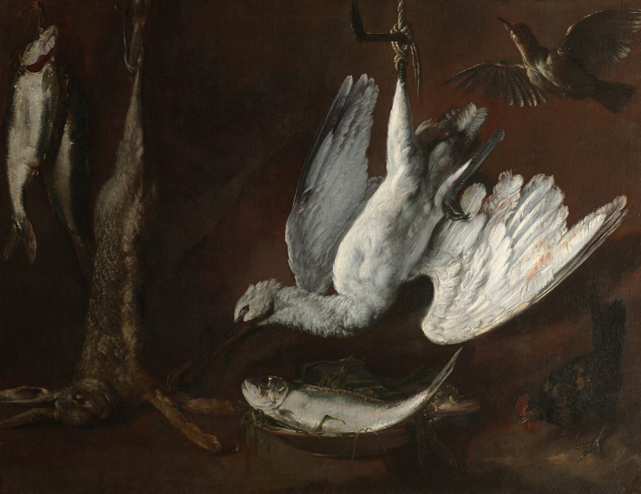 الأرنب ، Spoonbill ، والأسماك ، منتصف 1600s بواسطة المدرسة الايطالية