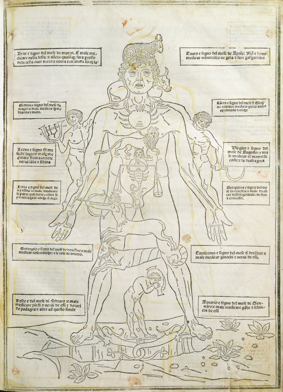 رسم توضيحي من "Fassiculus Medicinae" البندقية بواسطة المدرسة الايطالية