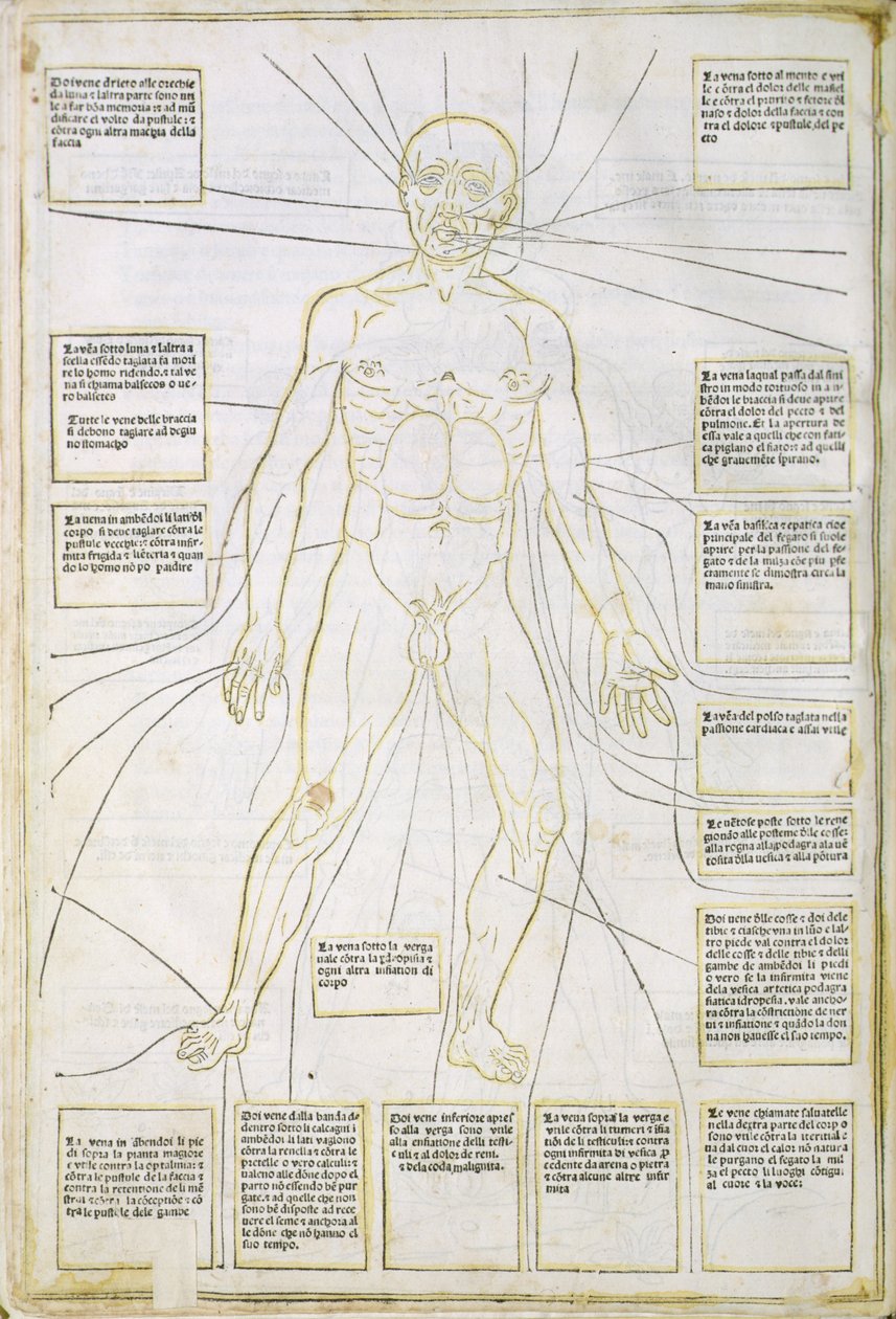 رسم توضيحي من "Fassiculus Medicinae" البندقية بواسطة المدرسة الايطالية