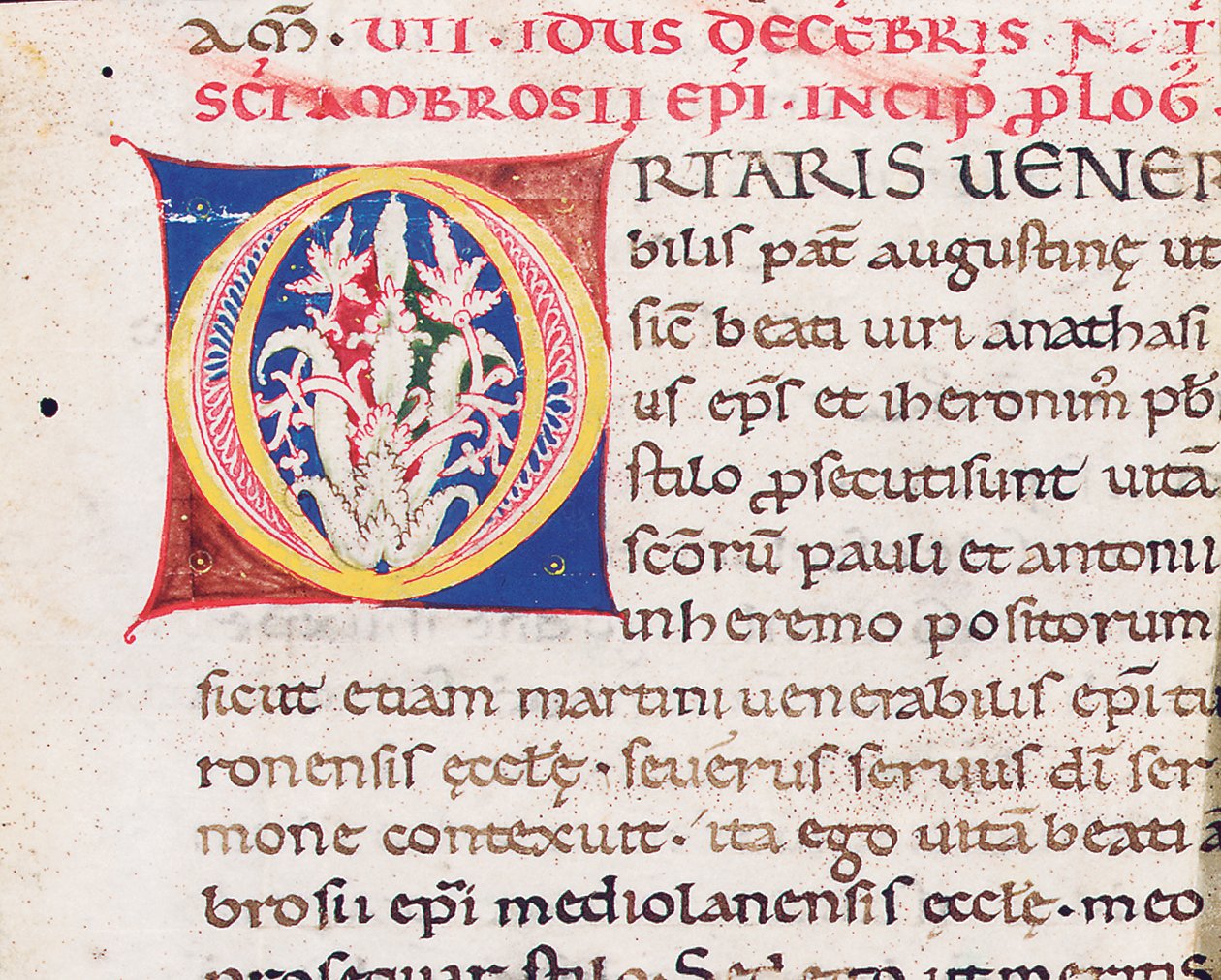أول حرف "O" على ظهر القطع مع Paulinus of Milan ، Vita Sancti Ambrosii ، على الأرجح من توسكانا ، حوالي 1150-75 (حبر على ورق) بواسطة المدرسة الايطالية