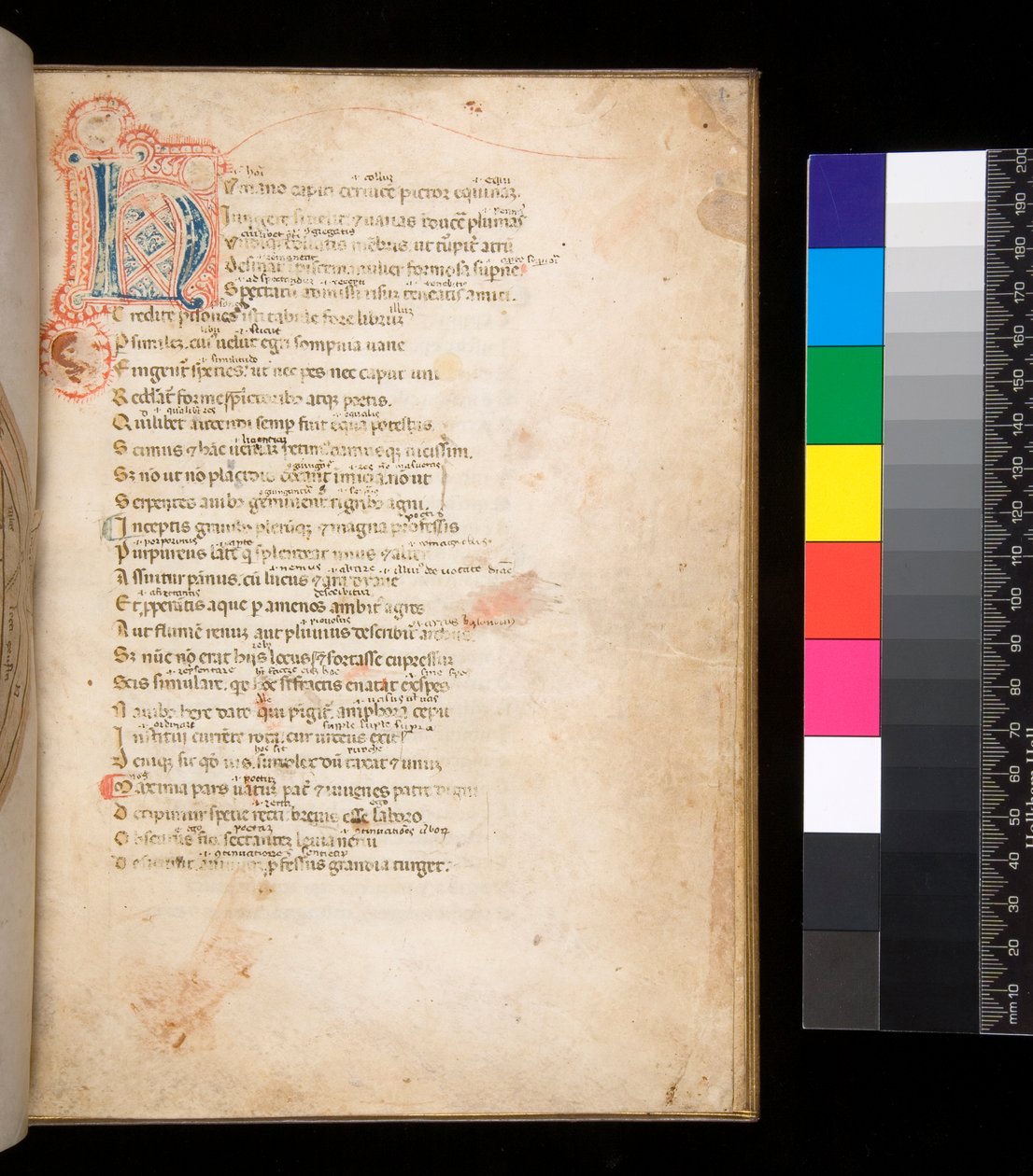 Ms 315. Horace، Ars Poetica and Epistulae، f.1r. مزخرف [N] مبدئيًا بحشو حفاضات باللونين الأزرق والأحمر وأعمال القلم المحيطة باللون الأحمر بواسطة المدرسة الايطالية