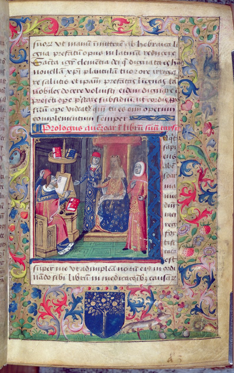 م 5113 عرض يوحنا الكابوا (fl.1262) لراعيه لترجمته إلى اللاتينية "التيسير" ، أطروحة عن الأمراض لابن زهر (أفينزوار) (1091-1161) (رق) بواسطة المدرسة الايطالية