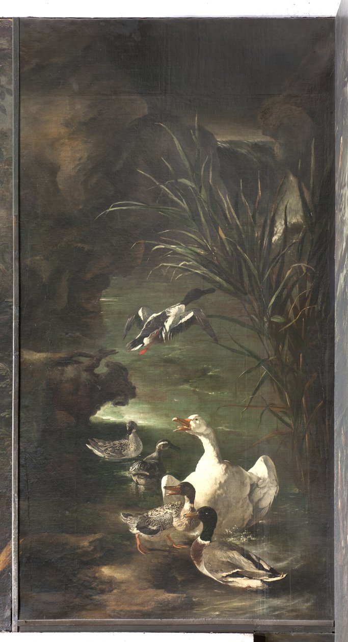 خرافة أورفيوس: البجعة والبط ، c.1650-60 بواسطة المدرسة الايطالية