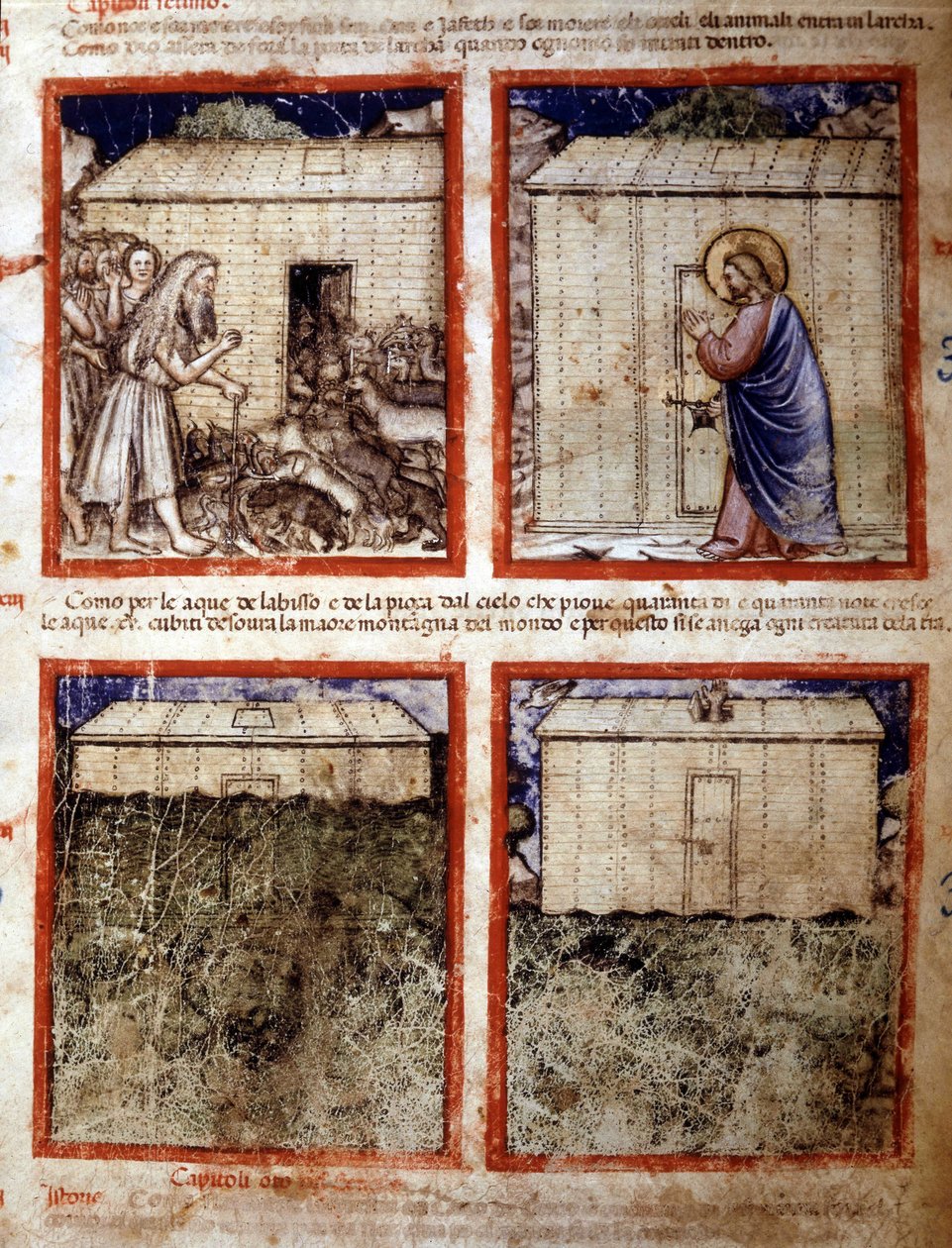 سفينة نوح ، مصغر مأخوذ من مجلد مخطوطة 212 (أو مخطوطة بادوفانو أو الكتاب المقدس لبادوا) 1390-1400 روفيغو ، أكاديميا دي كونكوردي بواسطة المدرسة الايطالية