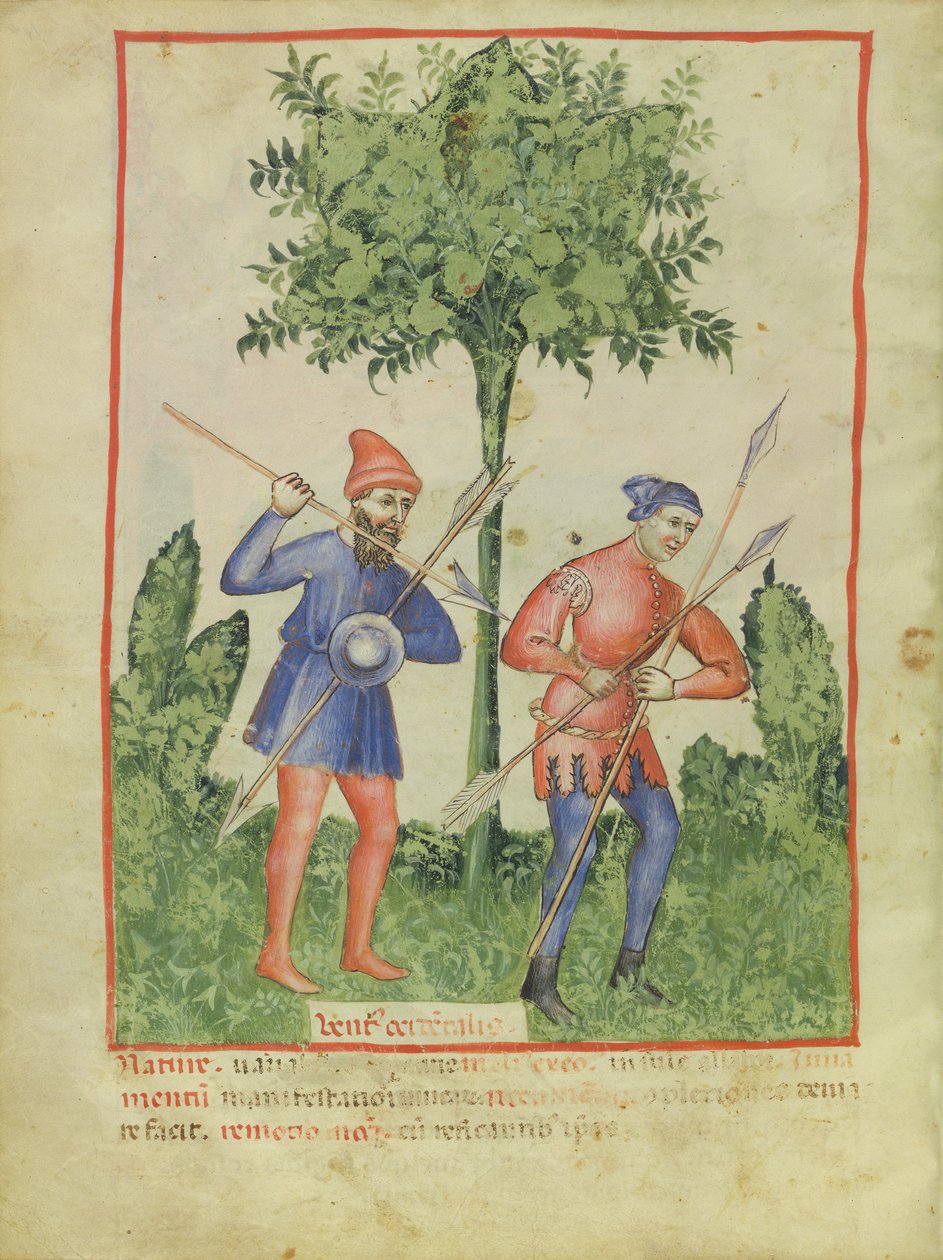 Nouy Acq Lat 1673 fol.100v الريح الغربية ، من Tacuinum الصحي ، c.1390-1400 بواسطة المدرسة الايطالية