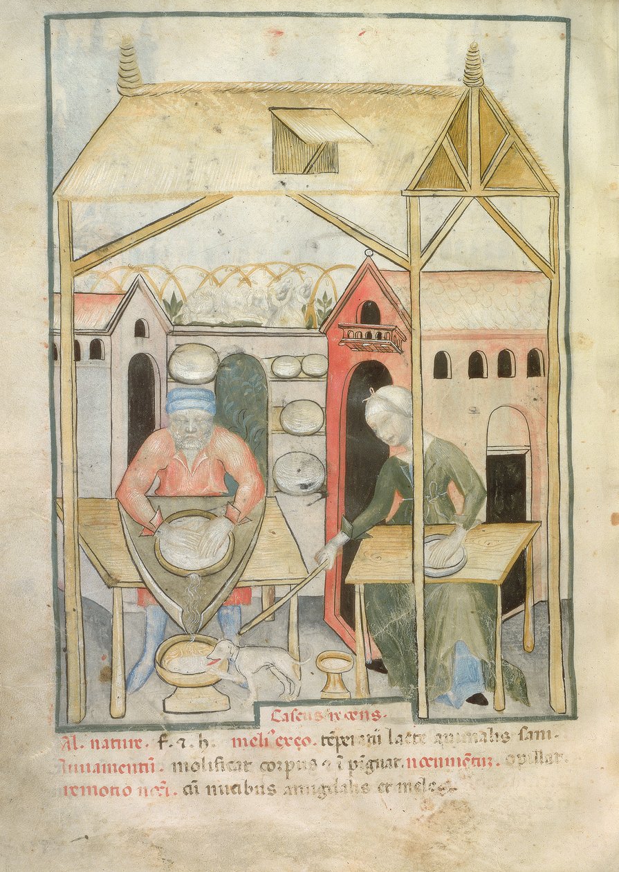 Nouy Acq Lat 1673 fol.58v تحضير الجبن ، من Tacuinum الصحي ، c.1390-1400 بواسطة المدرسة الايطالية