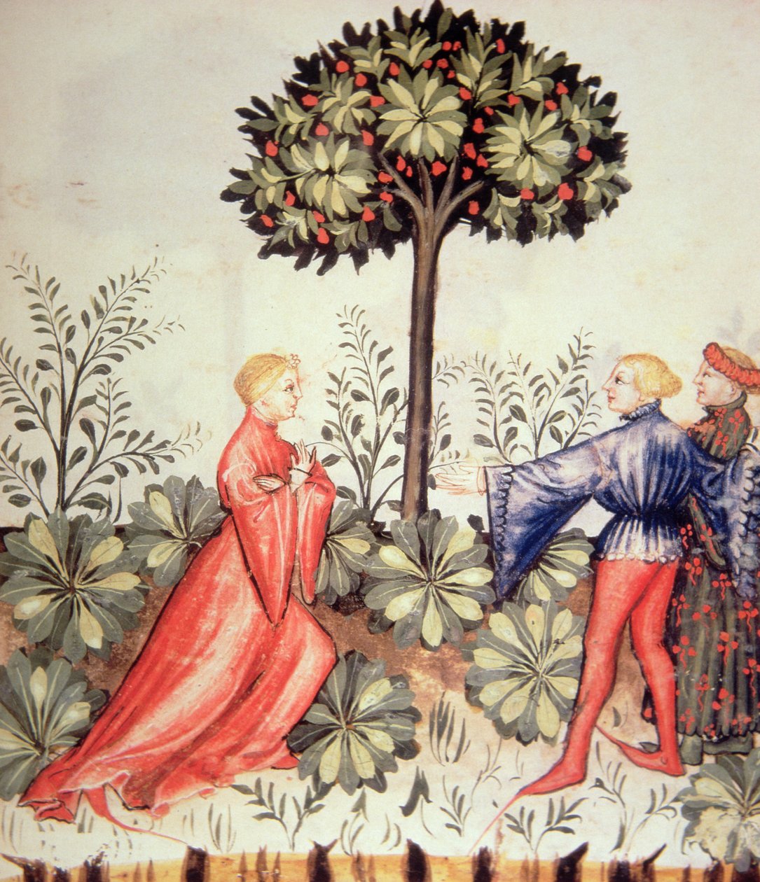 جديد 2644 fol.24r حصاد الخردل ، من Tacuinum الصحي بواسطة المدرسة الايطالية