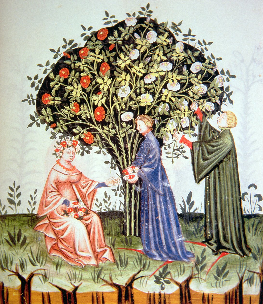 Nova 2644 fol.38r جمع الورود ، رسم توضيحي من Tacuinum Santiatis Codex Vindobonensis بواسطة المدرسة الايطالية