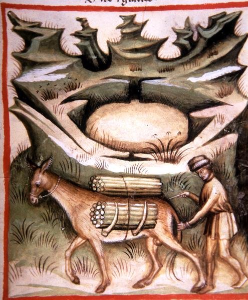 Nova 2644 fol.90r Snow and Ice ، من "Tacunum Sanitatis" (على ورق) بواسطة المدرسة الايطالية